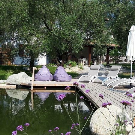 Agritur Fiore D'Ulivo Riva del Garda Exteriör bild