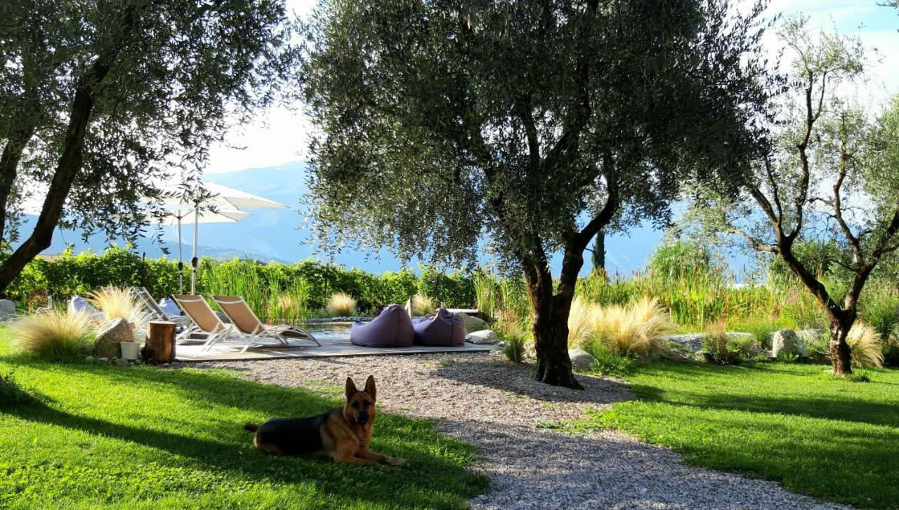 Agritur Fiore D'Ulivo Riva del Garda Exteriör bild
