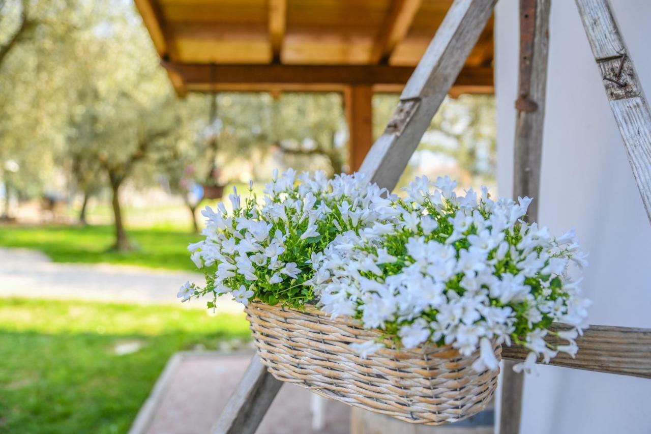 Agritur Fiore D'Ulivo Riva del Garda Exteriör bild