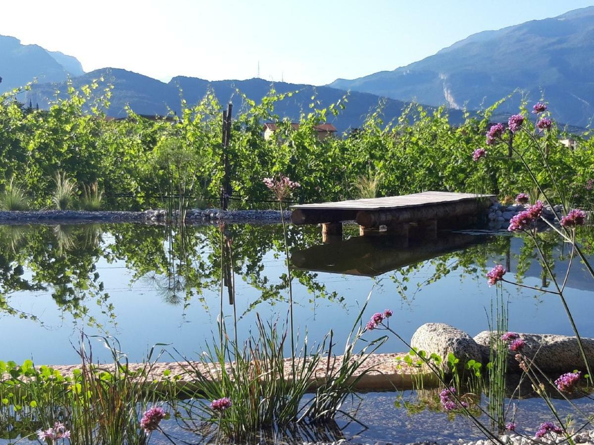 Agritur Fiore D'Ulivo Riva del Garda Exteriör bild